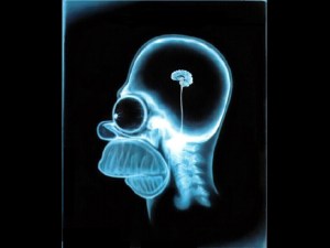 funnybrainwllpapers3