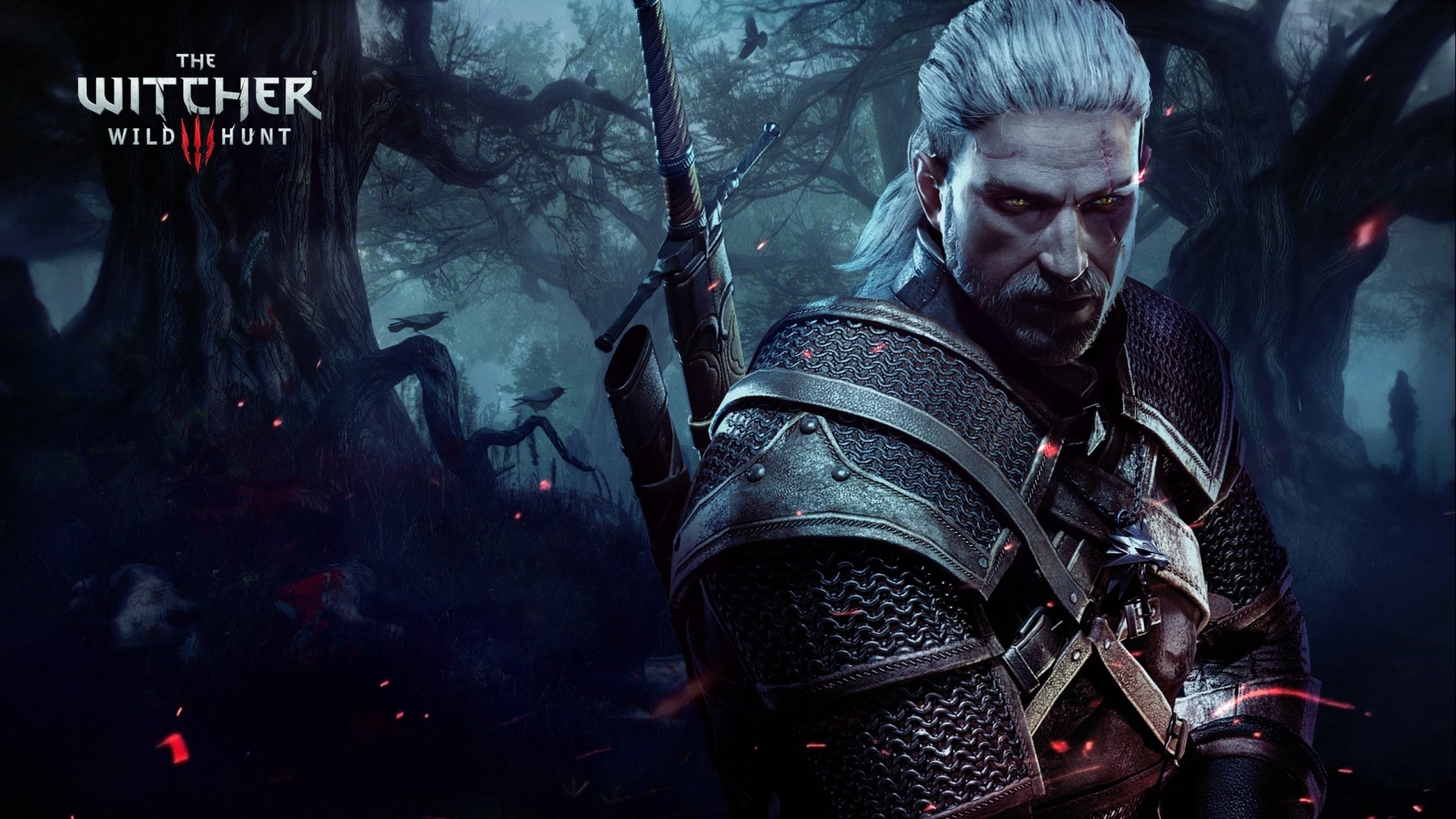 The Witcher 3: Wild Hunt Wallpaper 